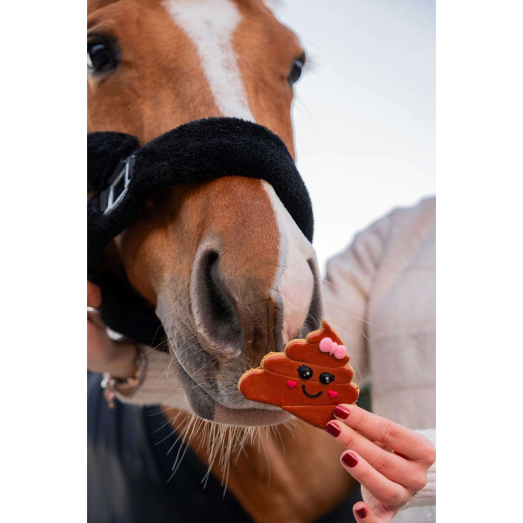 Candy Horse Love Cookie Poop