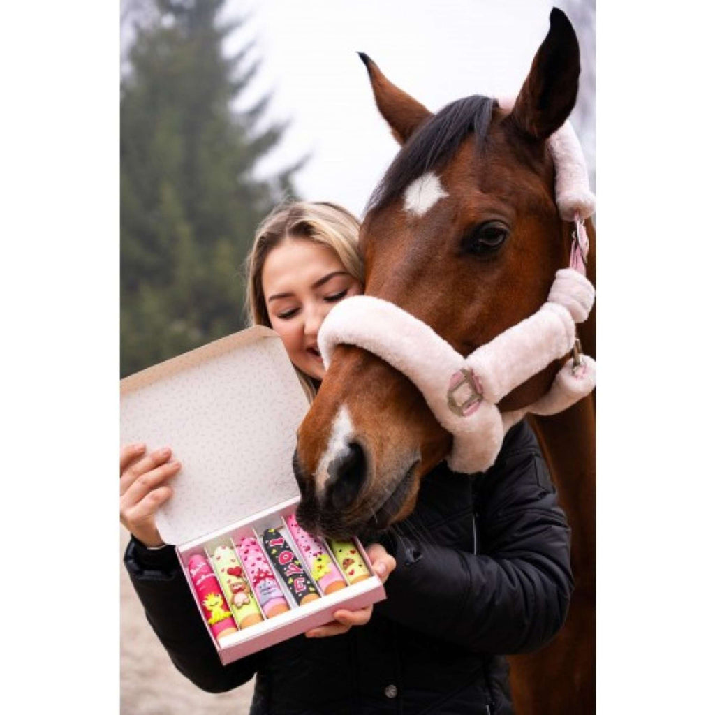 Candy Horse Love Koekjes Icing Sticks