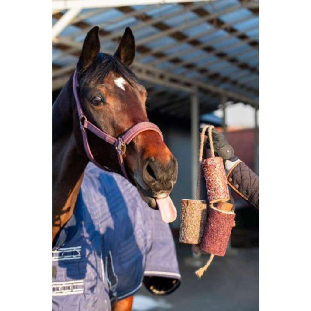 Candy Horse Love Kauwspeeltje Vol Liefde