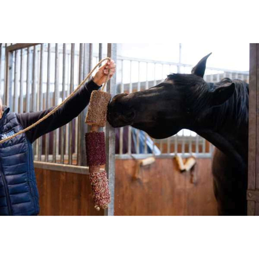 Candy Horse Love Kauwspeeltje Vol Liefde