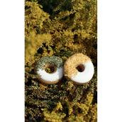 Candy Horse Donut Parsley/Calendula