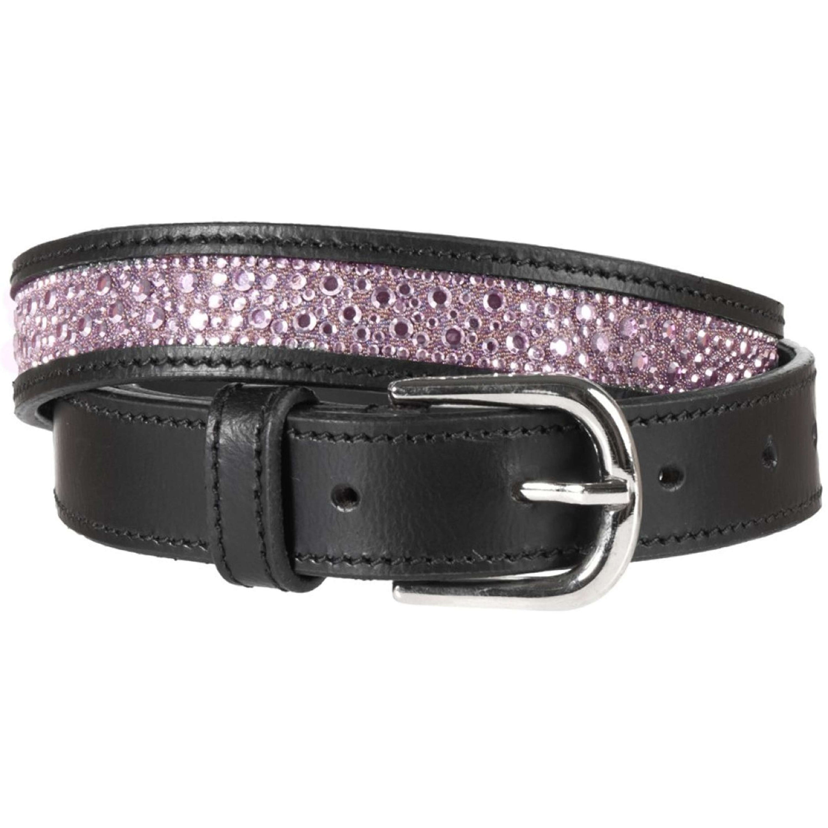 Harry's Horse Riem Denici Cavalli Purple Passion Pale-Pansy Harry's Horse Riem Denici Cavalli Purple Passion Pale-Pansy