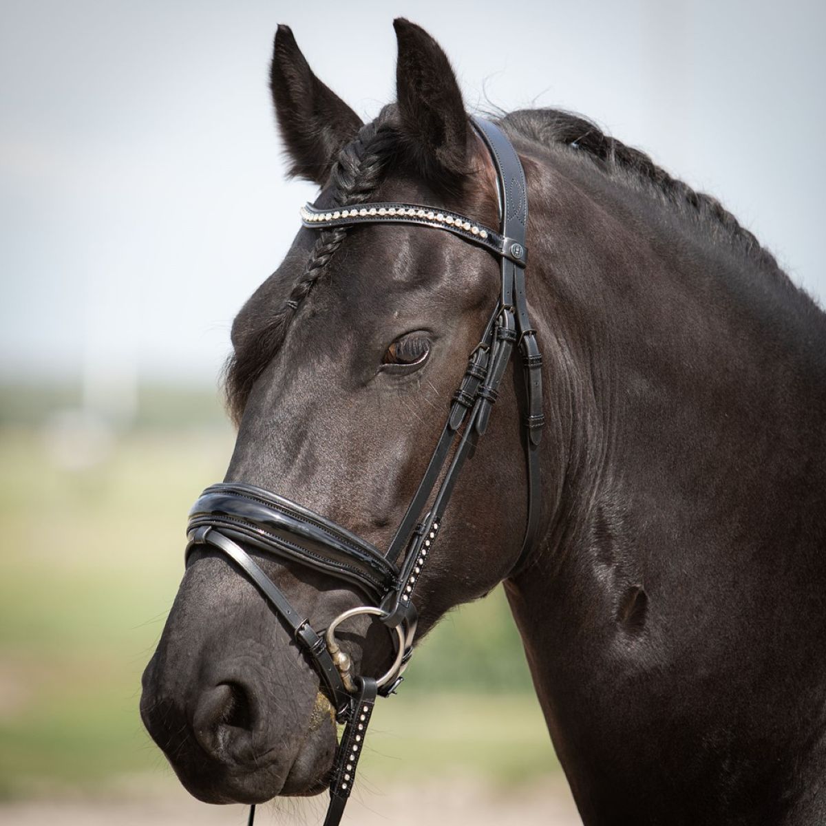 Harry's Horse Hoofdstel Diamond Lacque Zwart