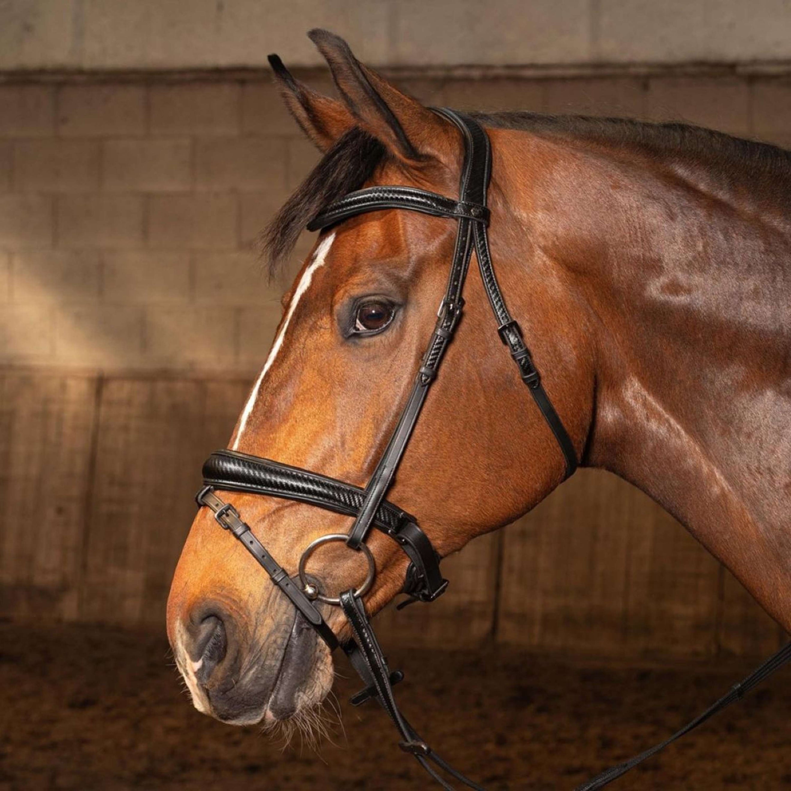 Harry's Horse Hoofdstel Soft Carbon Black Edition Zwart Harry's Horse Hoofdstel Soft Carbon Black Edition Zwart