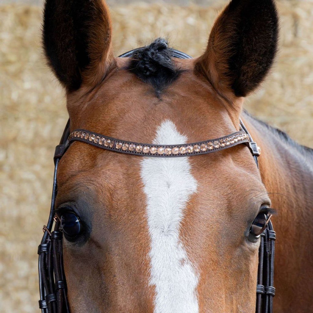 Harry's Horse Hoofdstel Copper Bruin