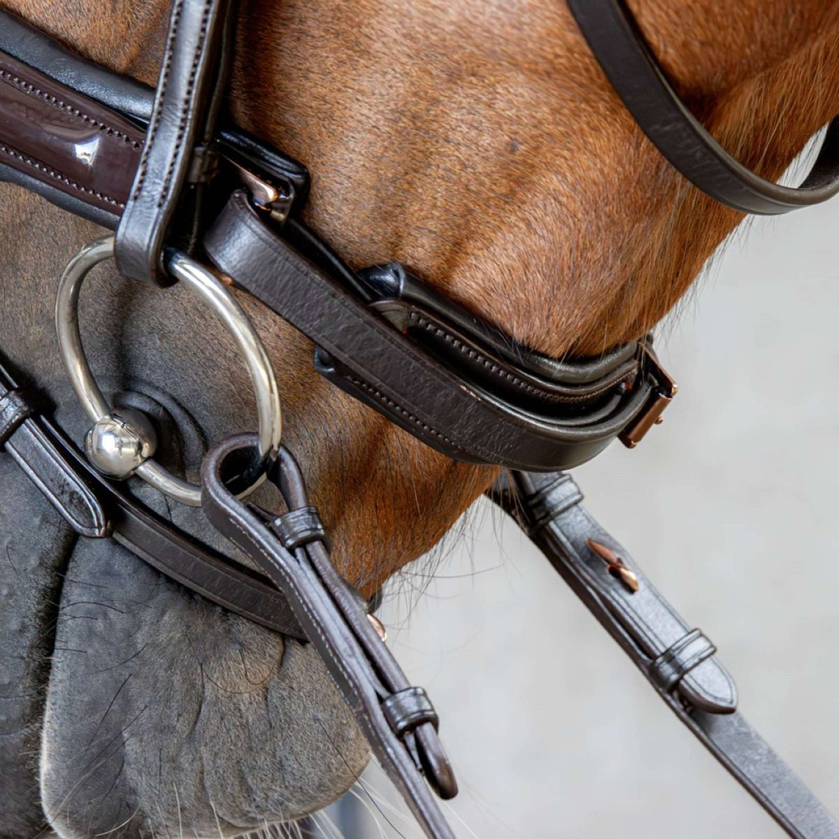 Harry's Horse Hoofdstel Copper Bruin