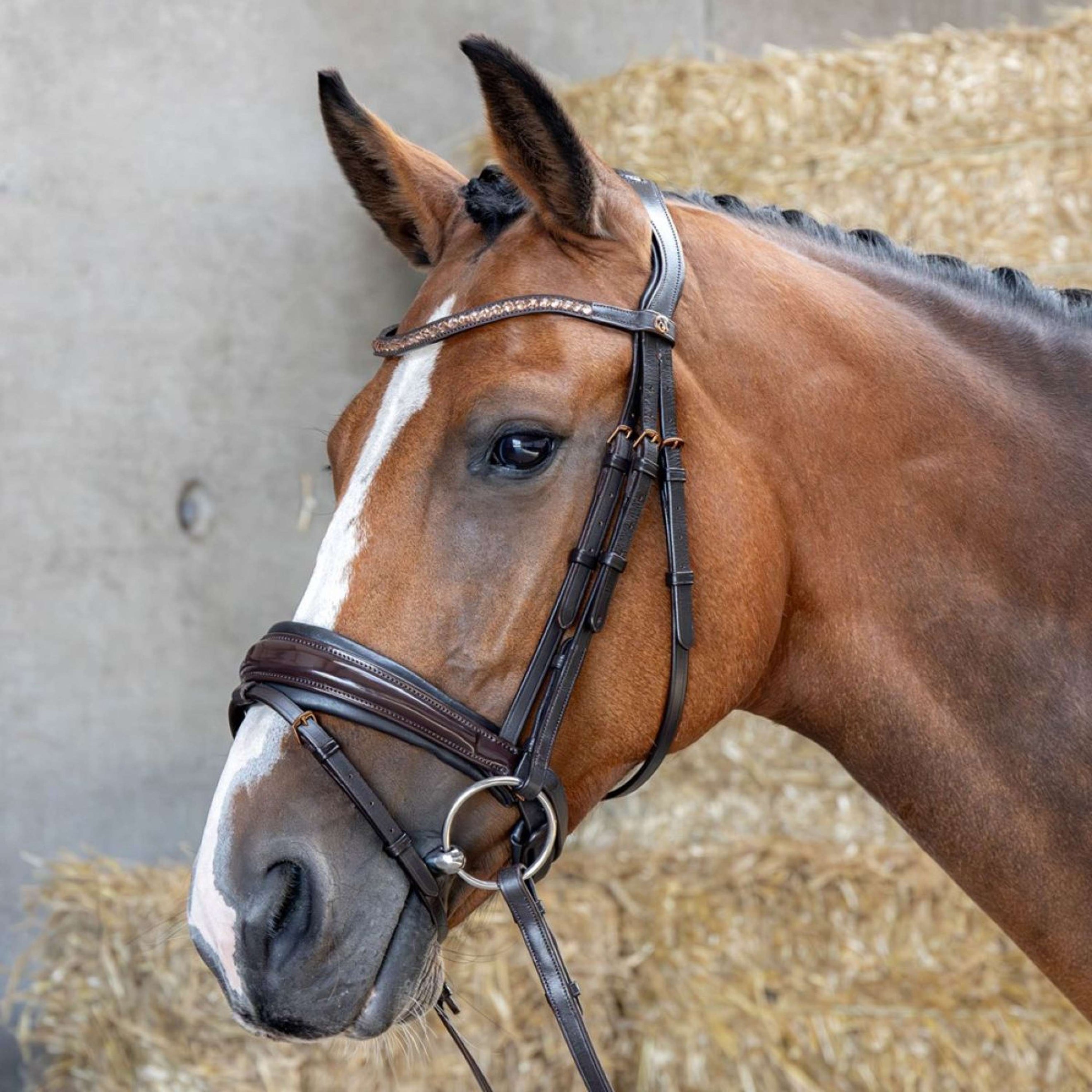 Harry's Horse Hoofdstel Copper Bruin Harry's Horse Hoofdstel Copper Bruin