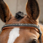 Harry's Horse Hoofdstel Black Cognac Zwart