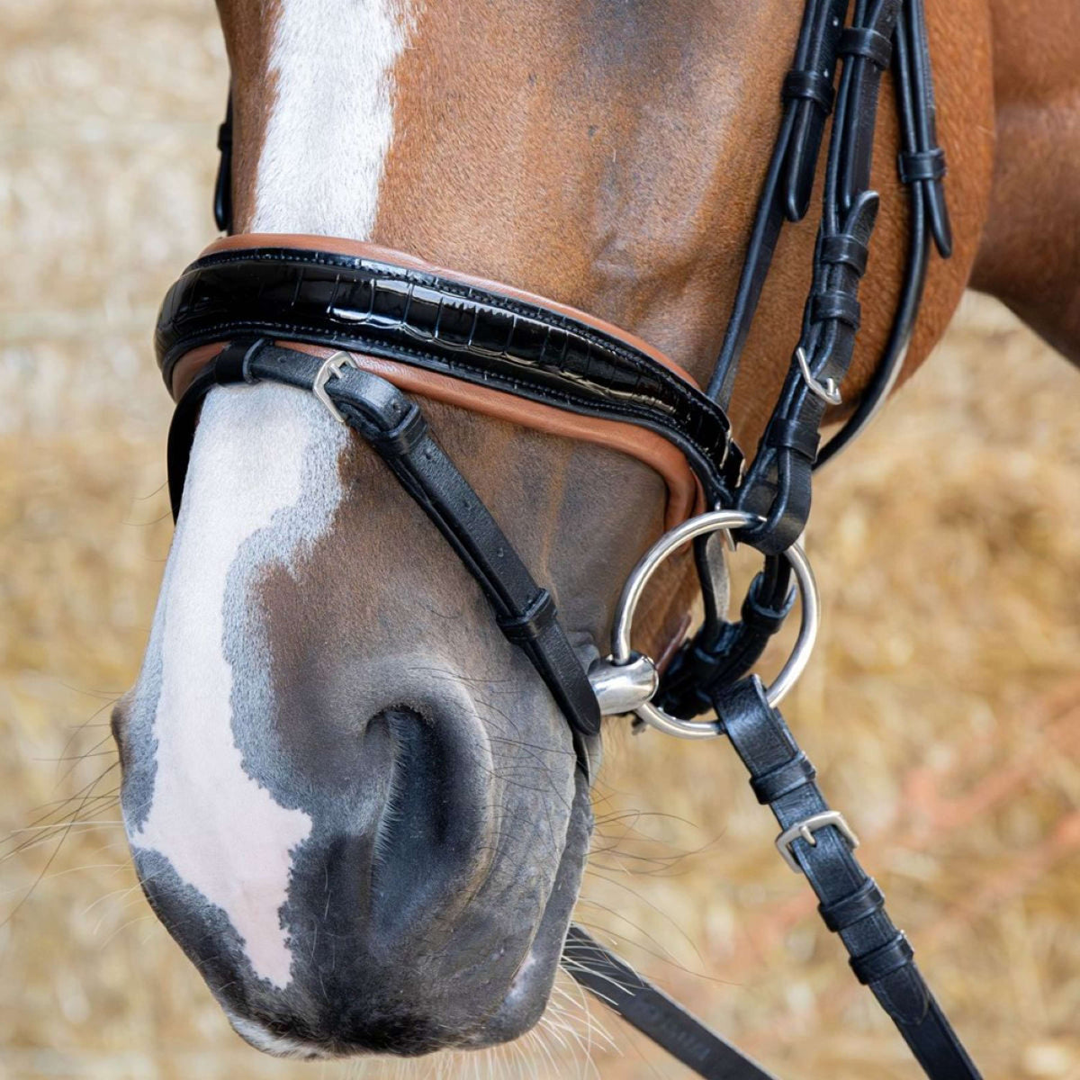 Harry's Horse Hoofdstel Black Cognac Zwart