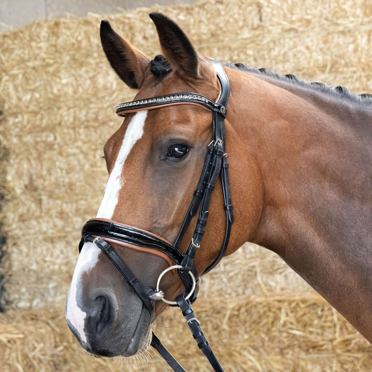 Harry's Horse Hoofdstel Black Cognac Zwart