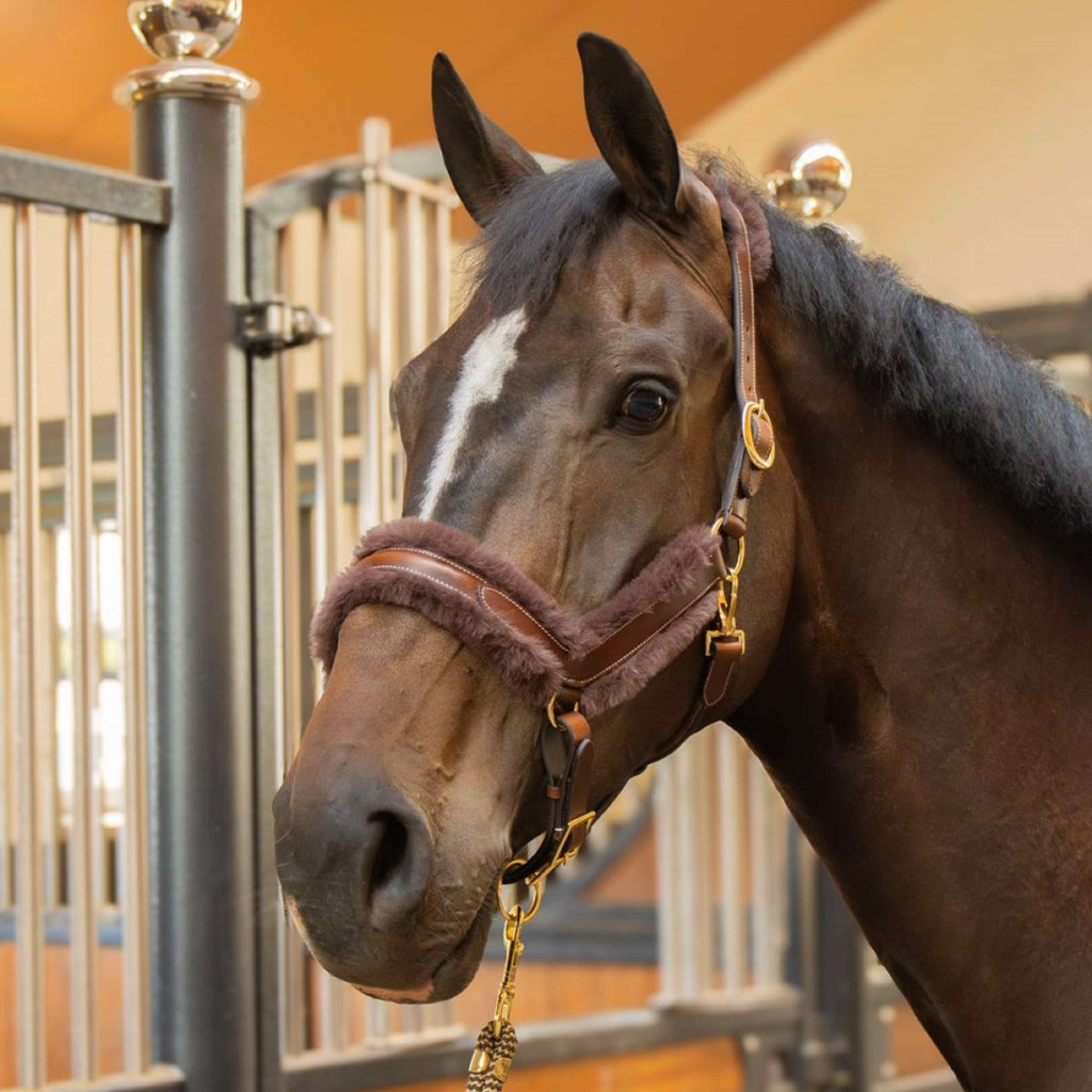 Harry's Horse Halster Leder Anatomic Furry Matt Bruin