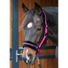 Harry's Horse Halster Lyrics Quotes Fuchsia