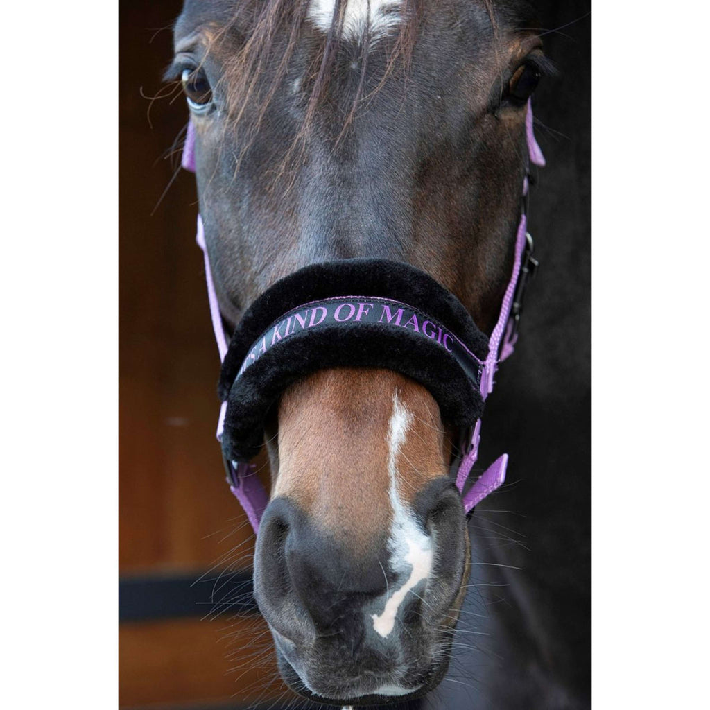 Harry's Horse Halster Lyrics Quotes Lila