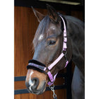 Harry's Horse Halster Lyrics Quotes Lila