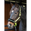 Harry's Horse Halster Lyrics Quotes Lime