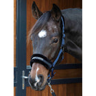 Harry's Horse Halster Lyrics Quotes Navy