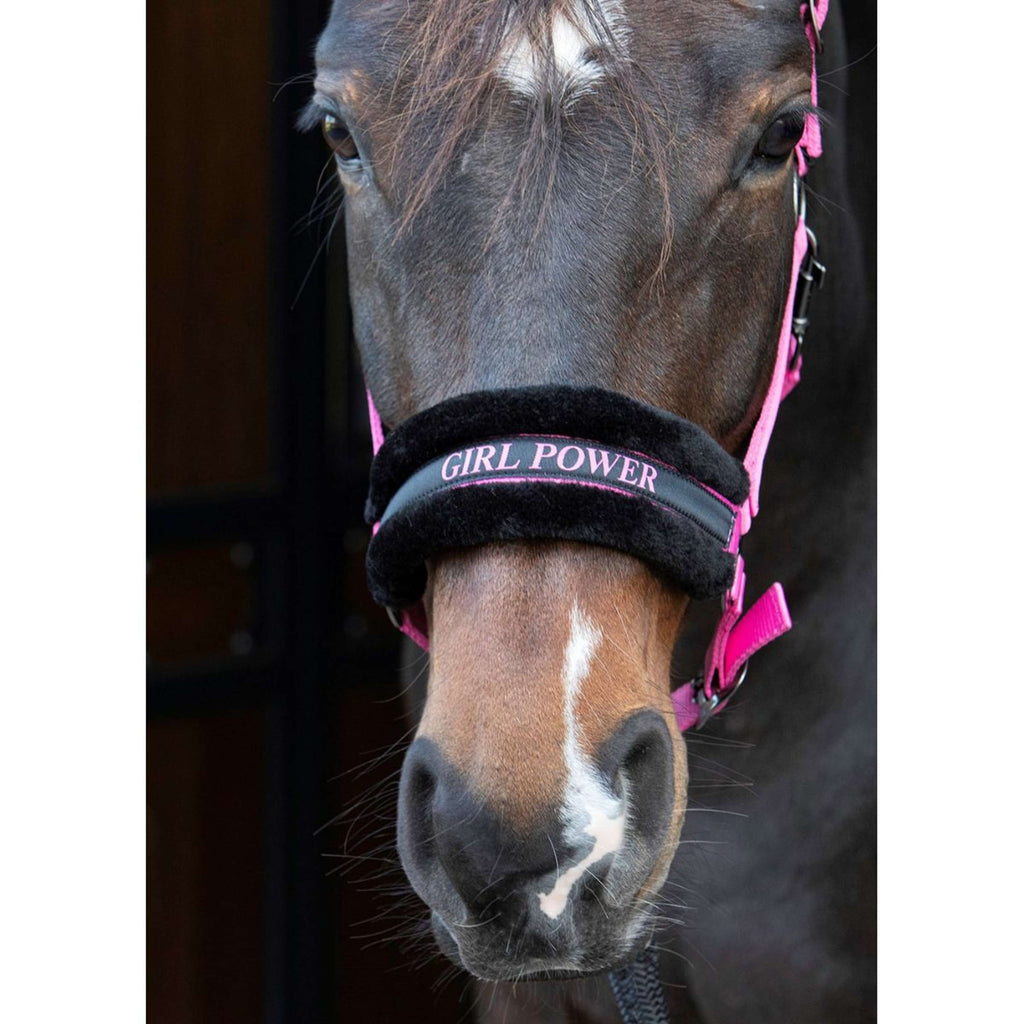 Harry's Horse Halster Lyrics Quotes Roze