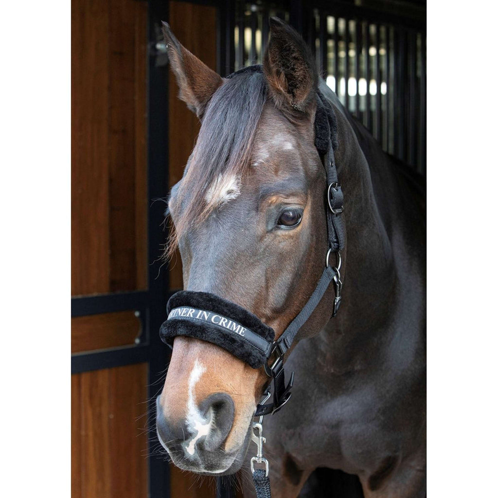 Harry's Horse Halster Lyrics Quotes Zwart