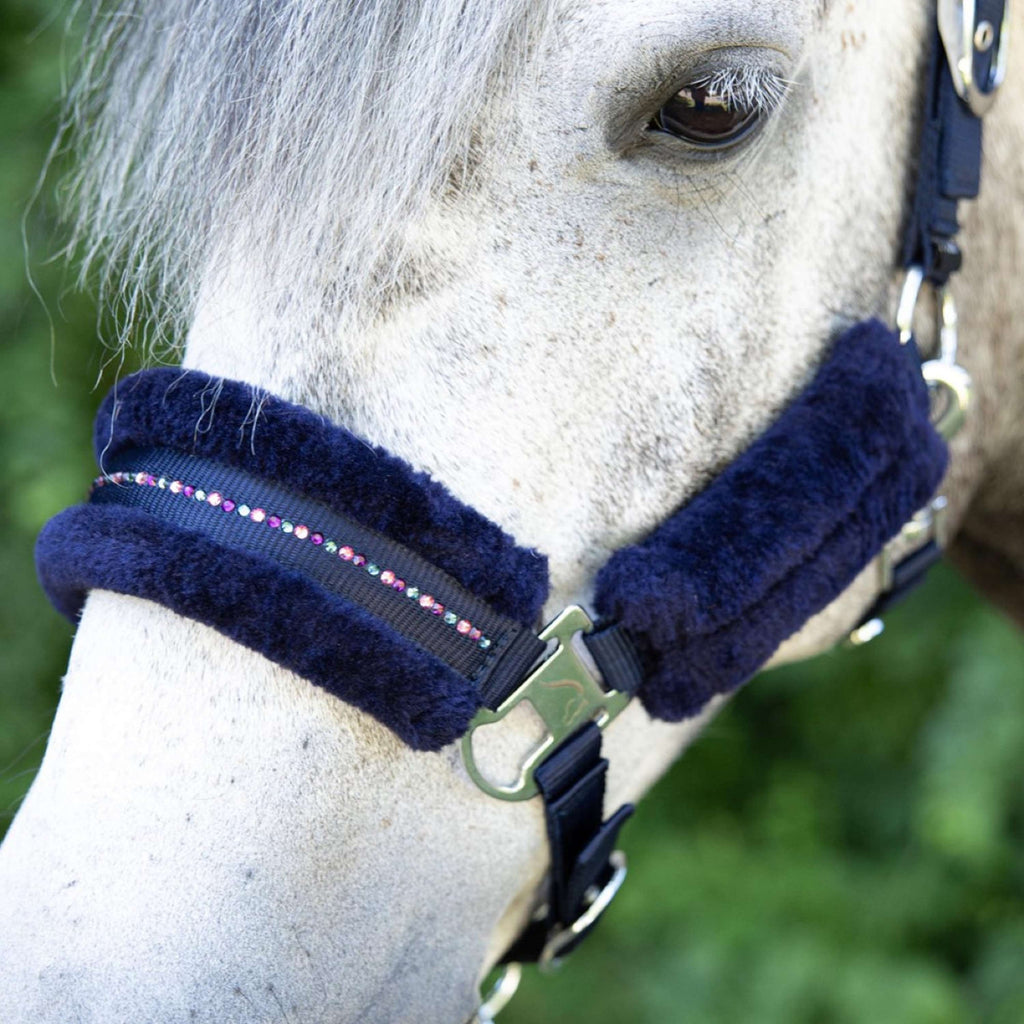 Harry's Horse Halsterset Denici Cavalli Purple Passion Crystal Peacoat