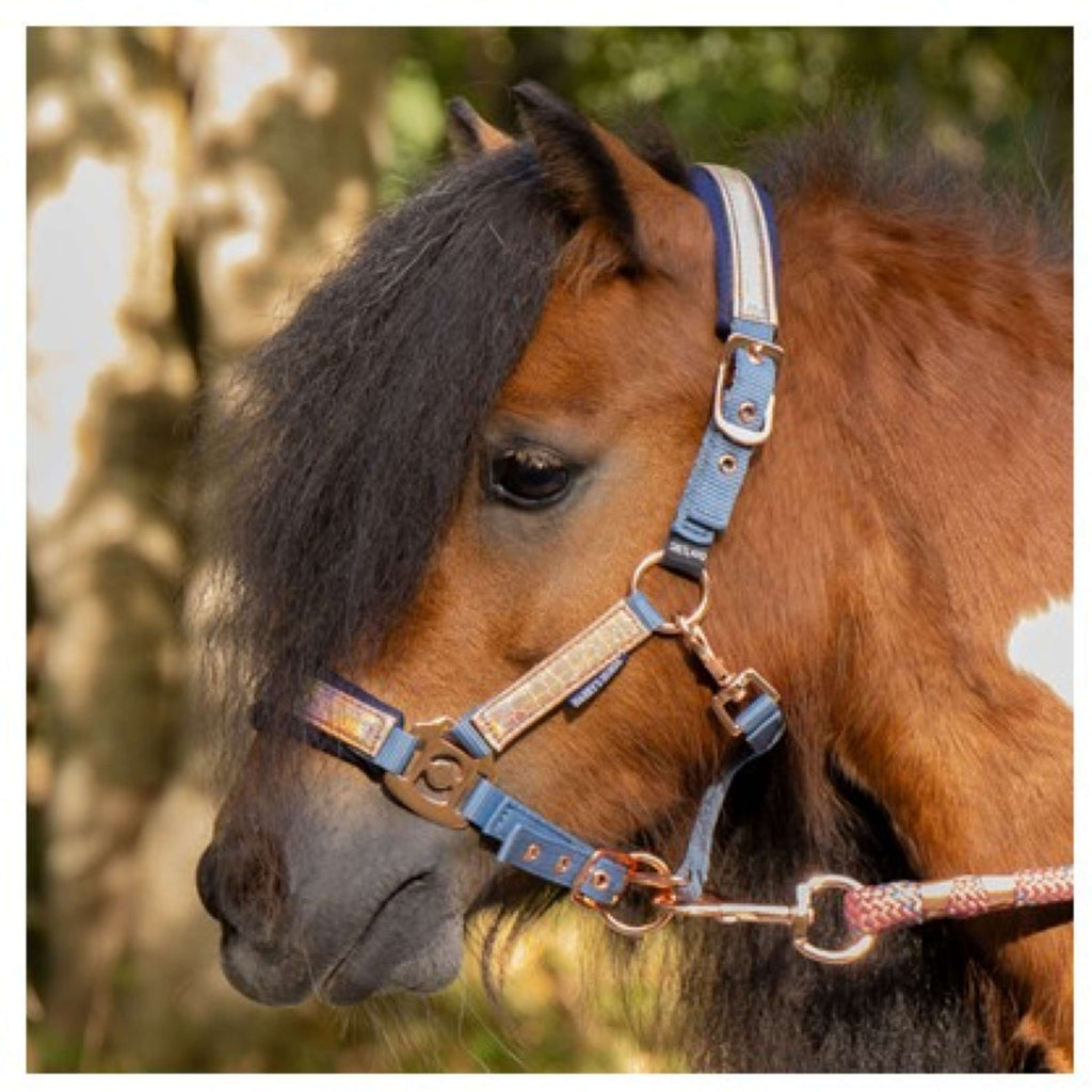 Harry's Horse Halsterset Diva Mauvewood Faded-Denim