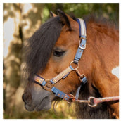 Harry's Horse Halsterset Diva Mauvewood Faded-Denim