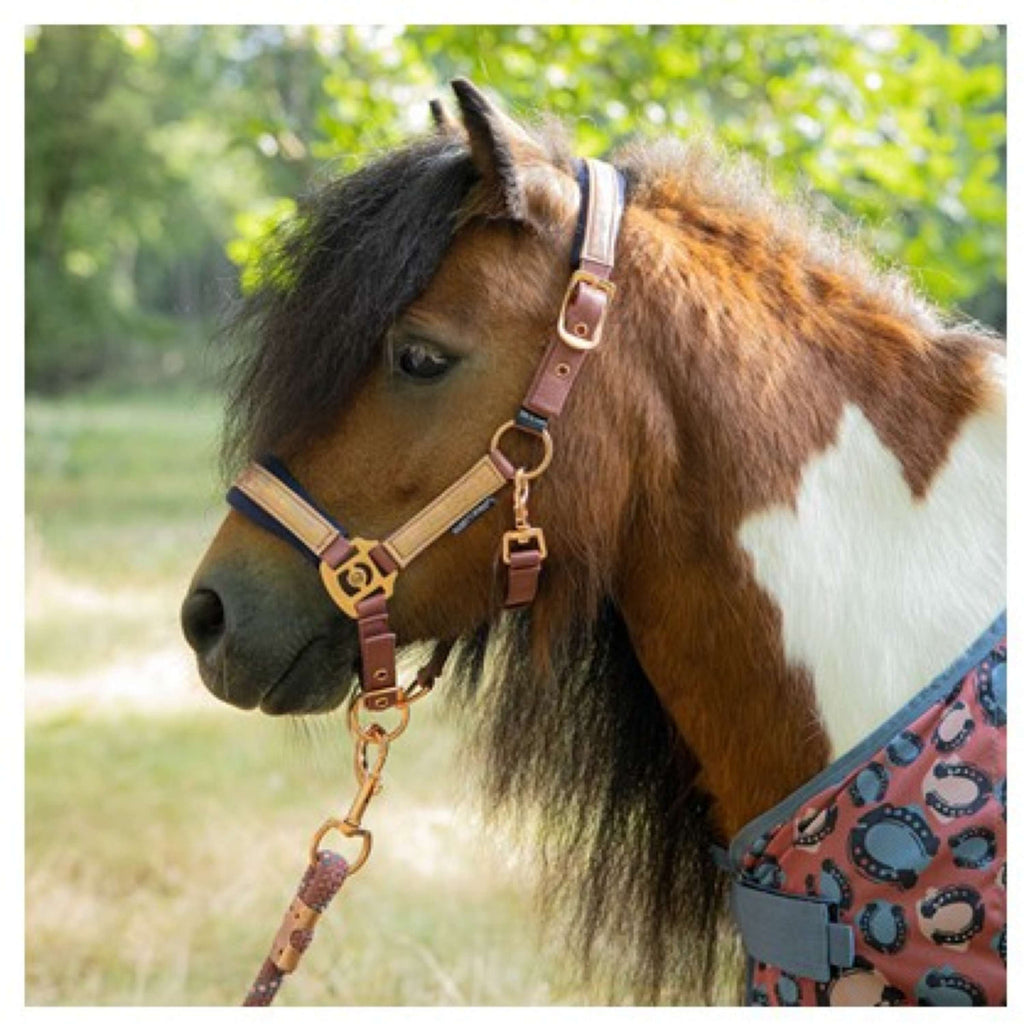 Harry's Horse Halsterset Diva Mauvewood Mauvewood