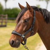 Harry's Horse Halsterset Equestrian Society Black Sand