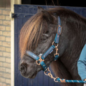 Harry's Horse Halsterset Equestrian Society Moonlit Ocean