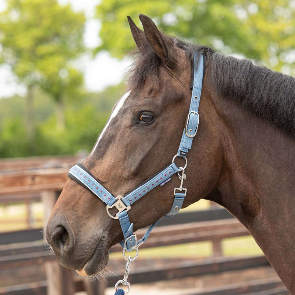 Harry's Horse Halsterset Crystal Blue Heaven