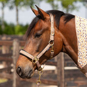 Harry's Horse Halsterset Crystal Taupe Grey