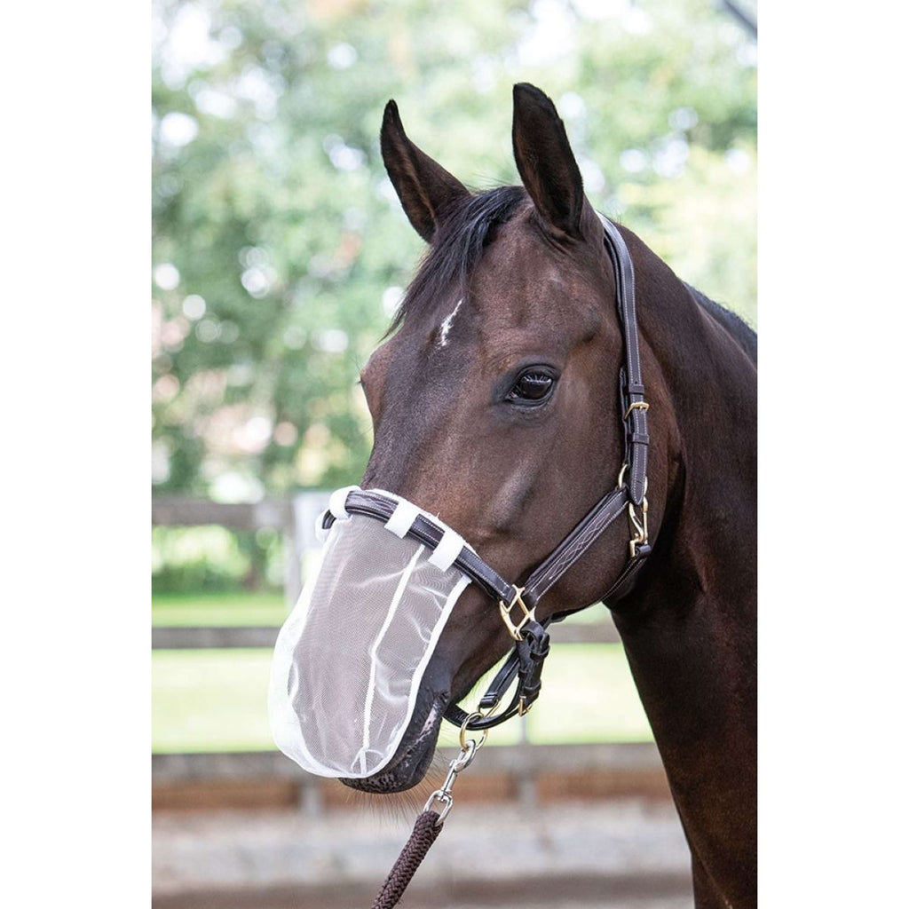 Harry's Horse Neusnetje Wit