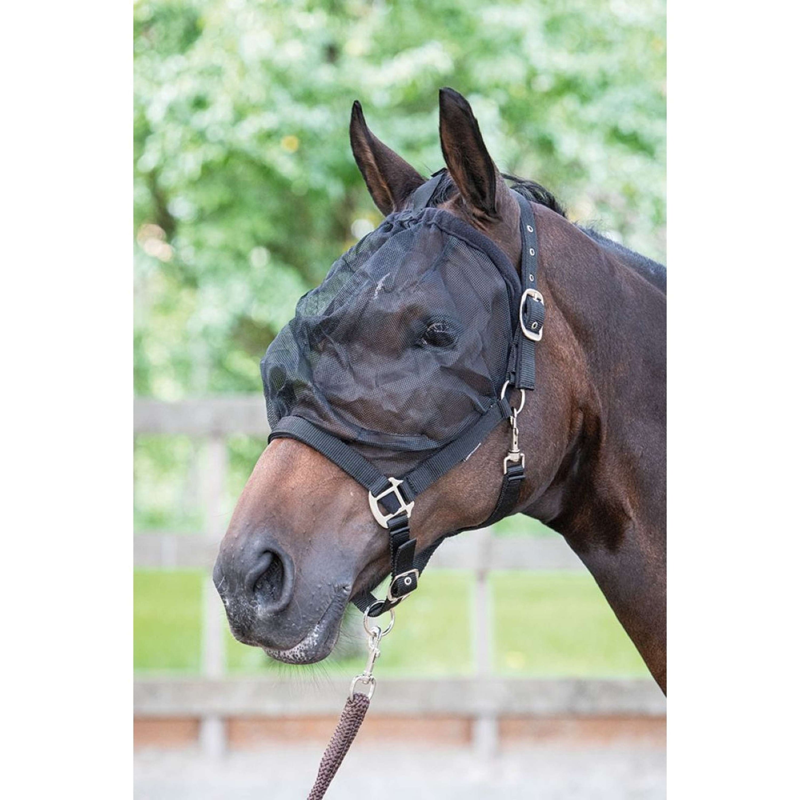 Harry's Horse Vliegenmasker halster Harry's Horse Vliegenmasker halster