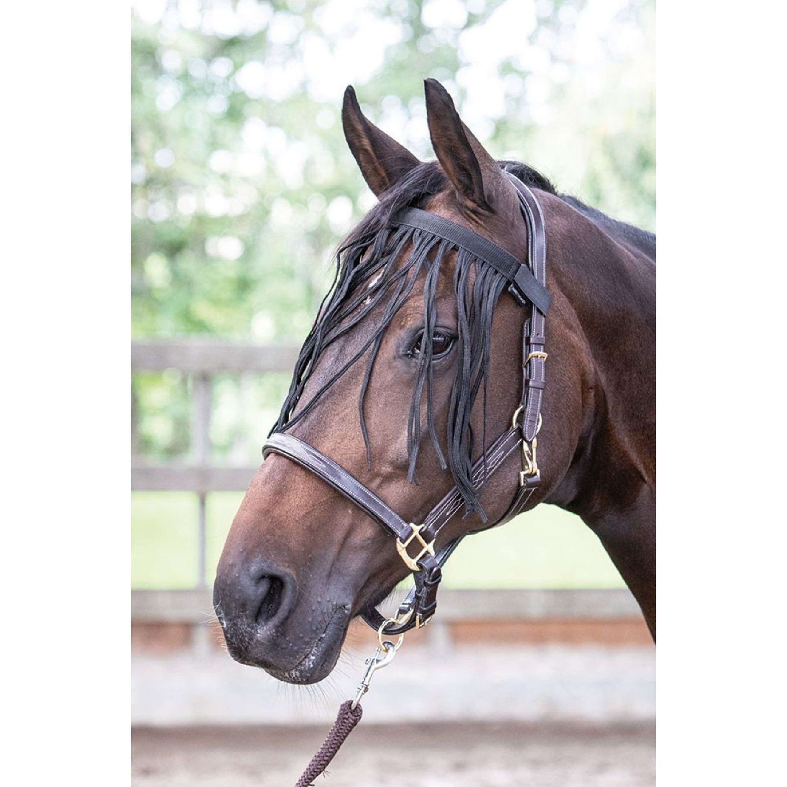 Harry's Horse Vliegenfrontriem Zwart