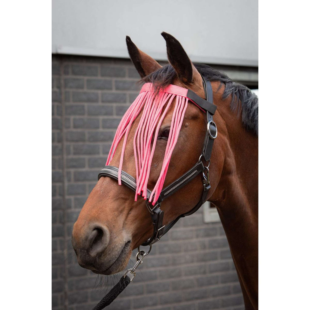 Harry's Horse Vliegenfrontriem Colour Roze