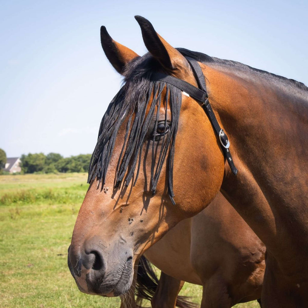Harry's Horse Vliegenfrontriem Comfort+ Zwart