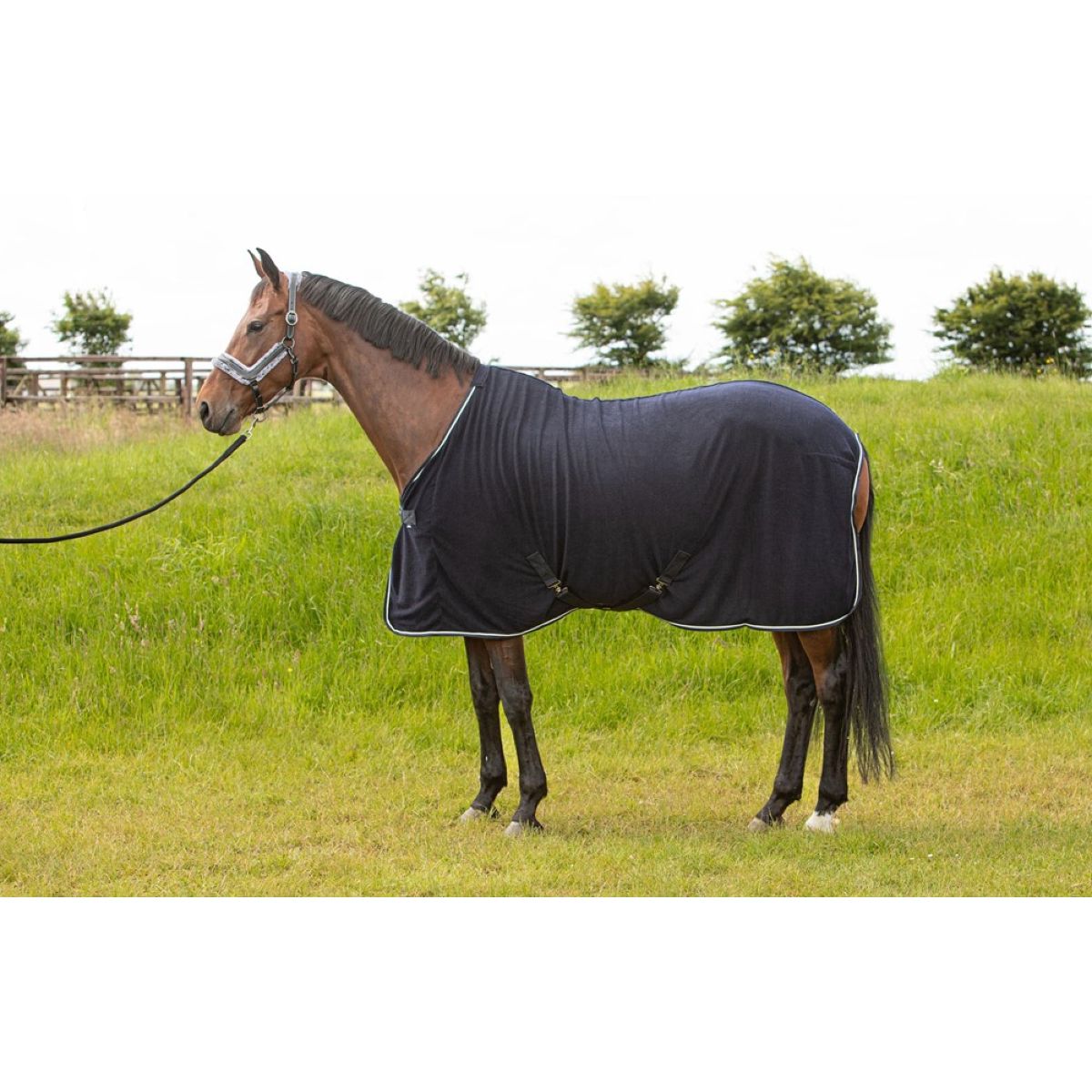 Harry's Horse Coolerdeken Light Weight Corduroy Navy