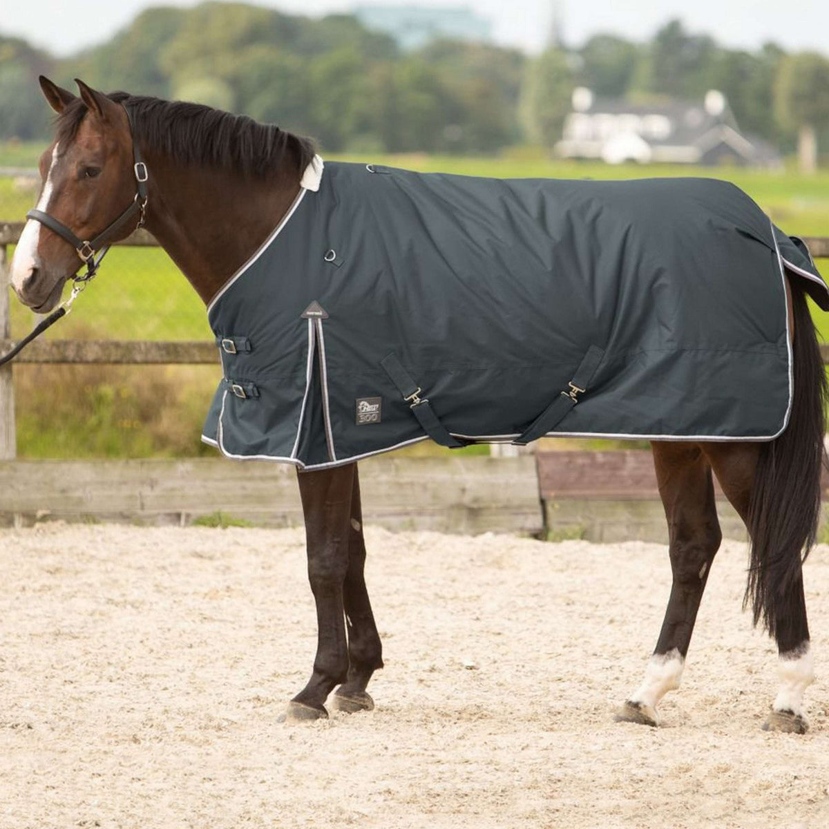 Harry's Horse Outdoordeken Thor 300 Ebony