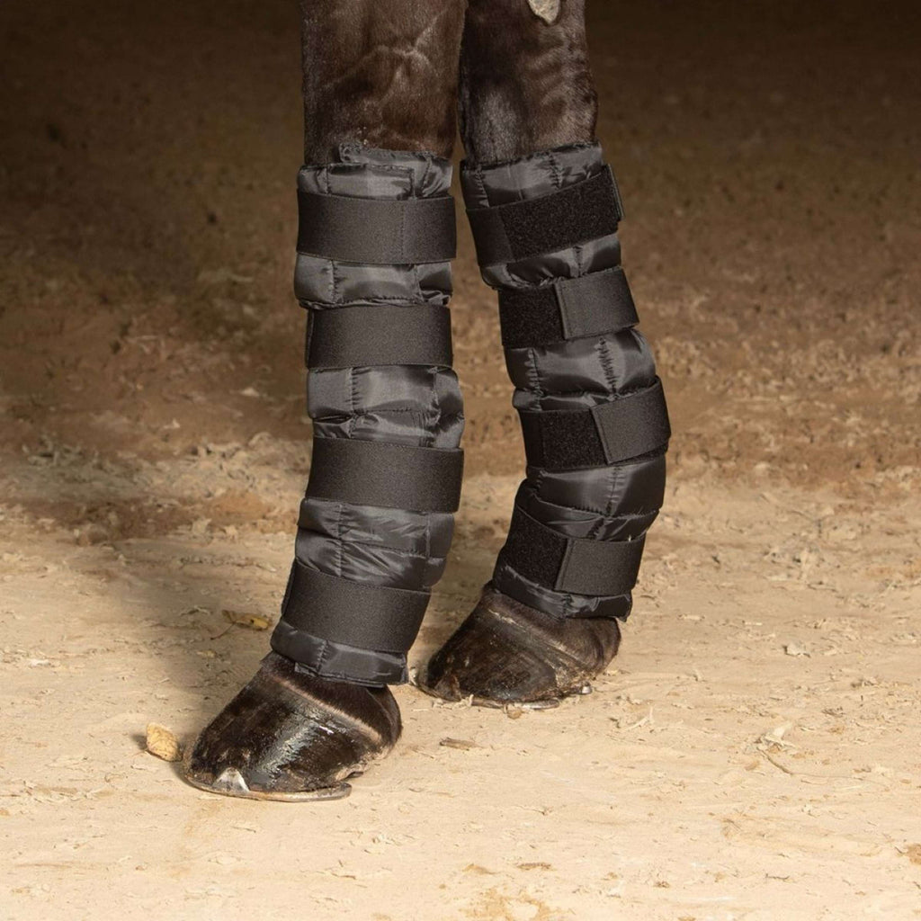 Harry's Horse Cold Wrap Zwart