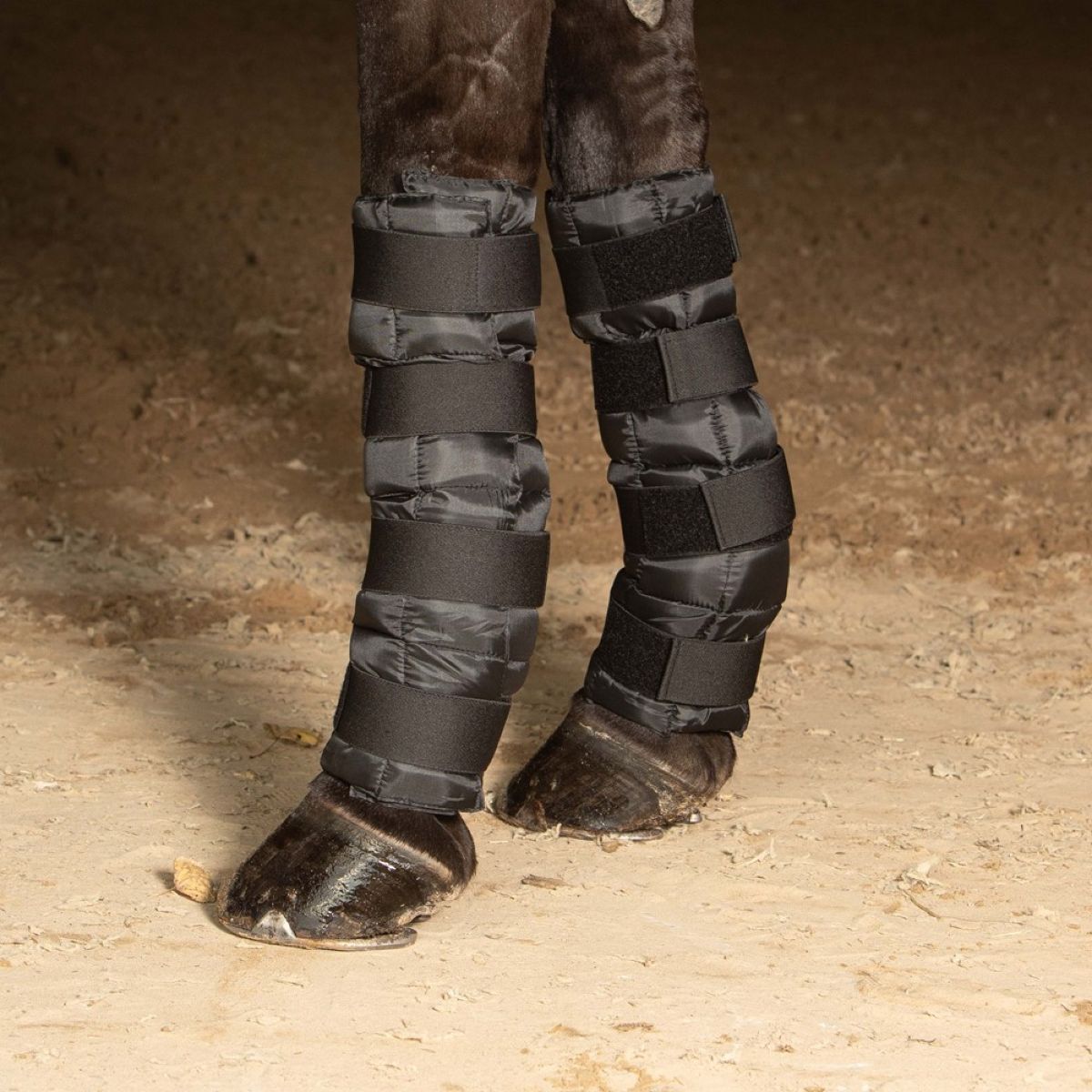 Harry's Horse Cold Wrap Zwart