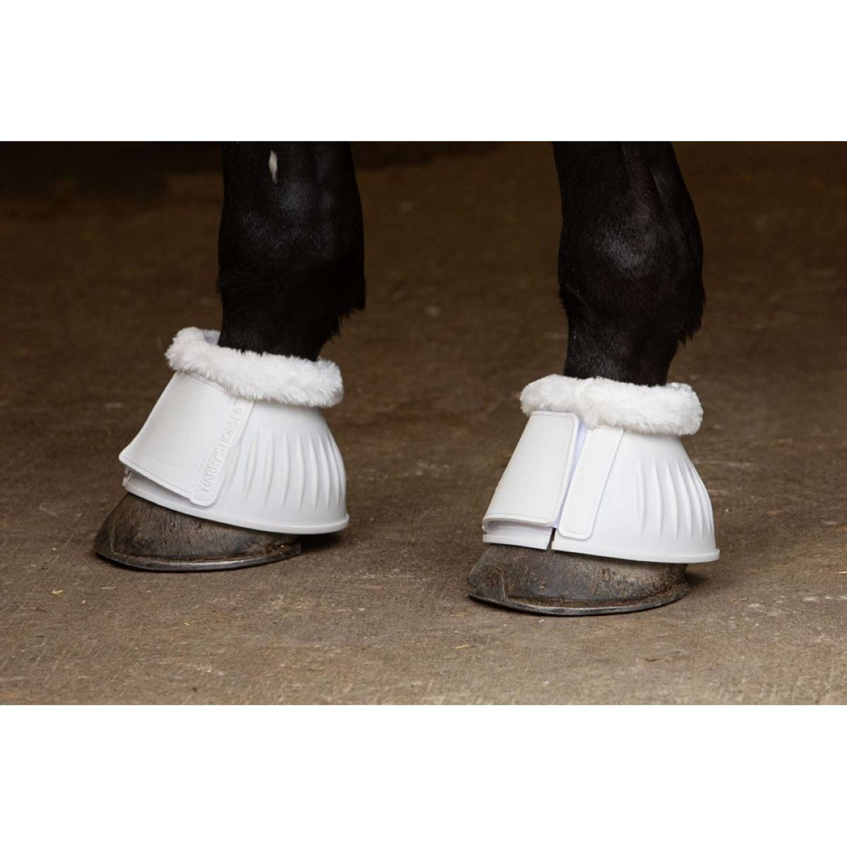 Harry's Horse Springschoenen TPE Vestan Wit