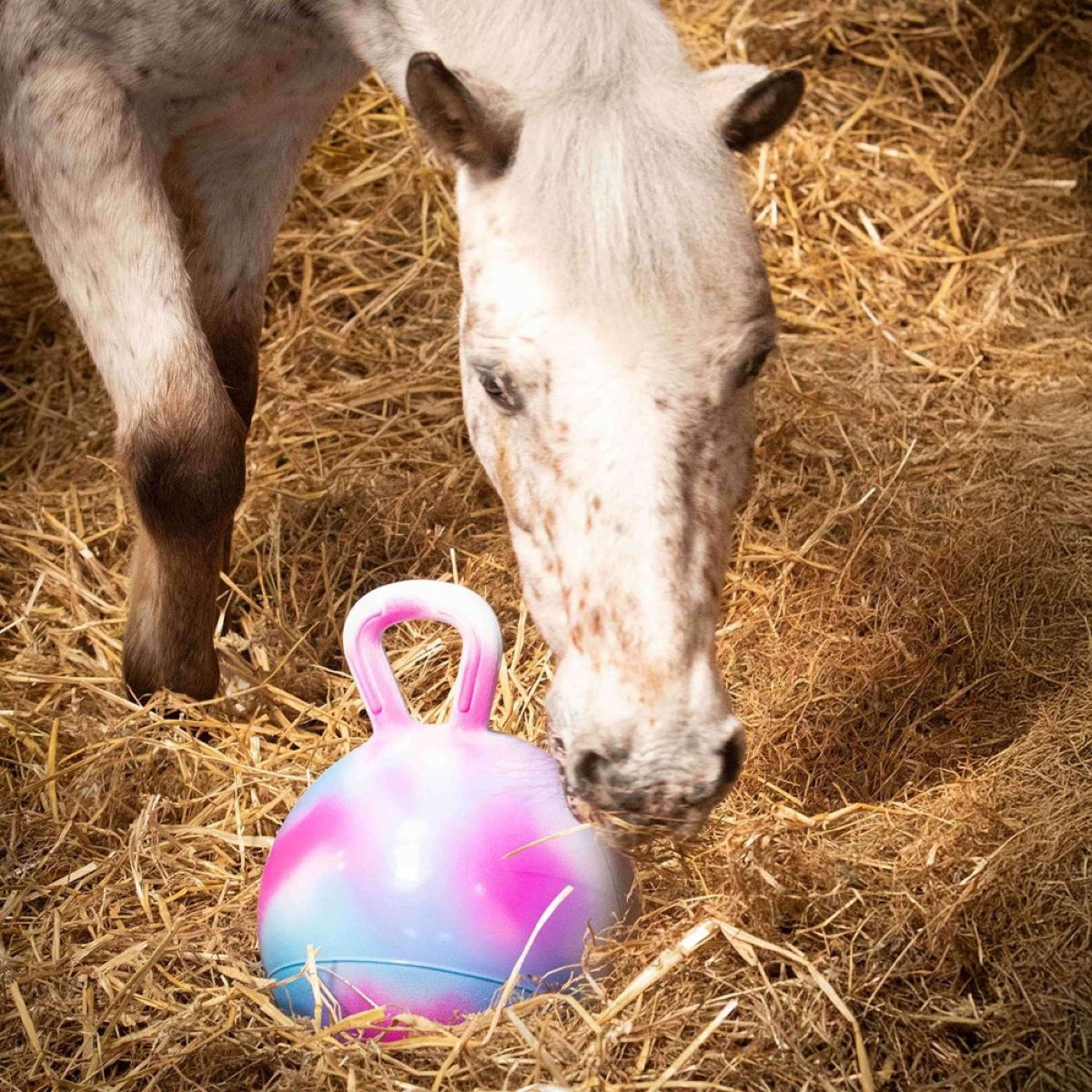 Harry's Horse Speelbal voor Paarden Assorti