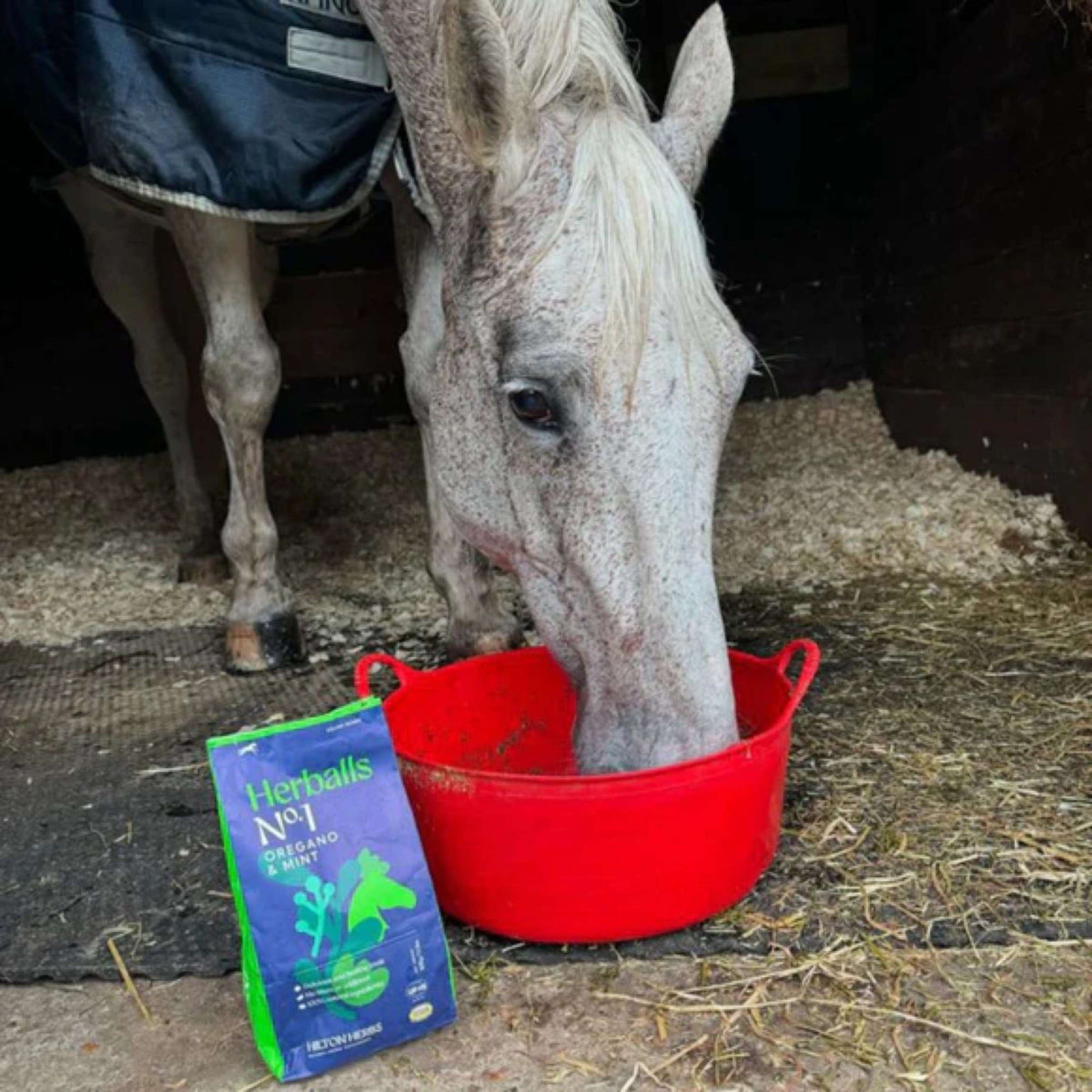 Hilton Herbs Herballs No1 Oregano & Mint