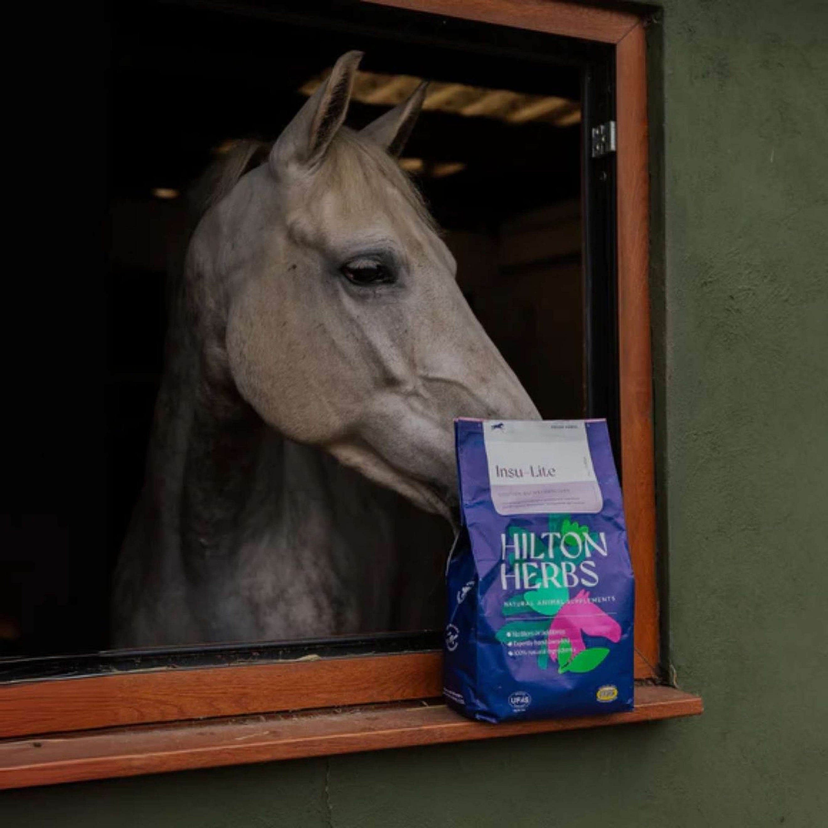 Hilton Herbs Insu-lite Hilton Herbs Insu-lite