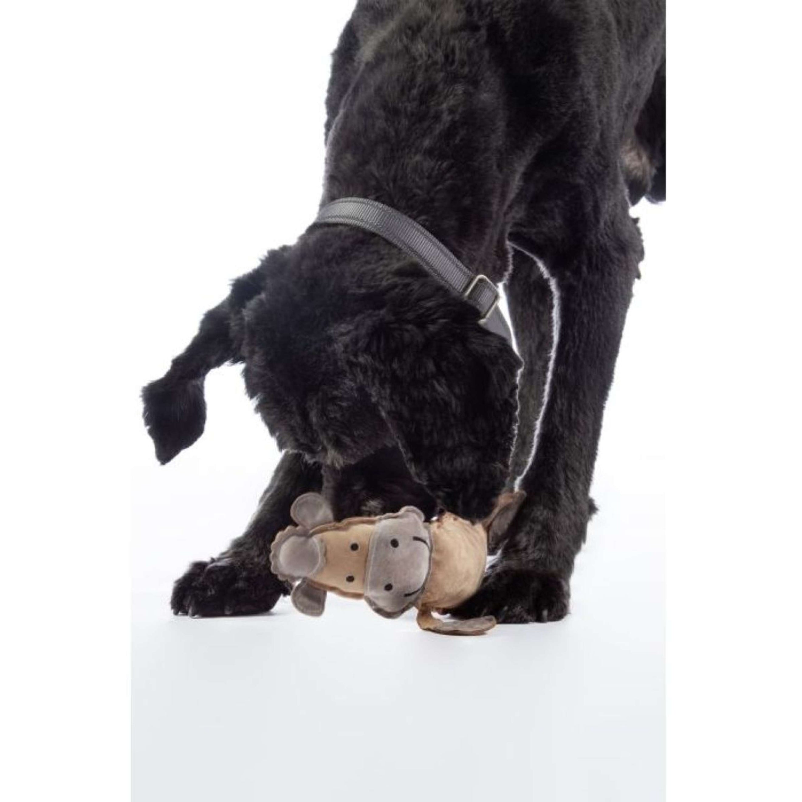 HKM Honden Speelgoed Buddy Paard Natuur/Lichtgrijs HKM Honden Speelgoed Buddy Paard Natuur/Lichtgrijs