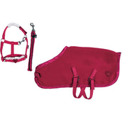 HKM Knuffel Pony Starterset Rood