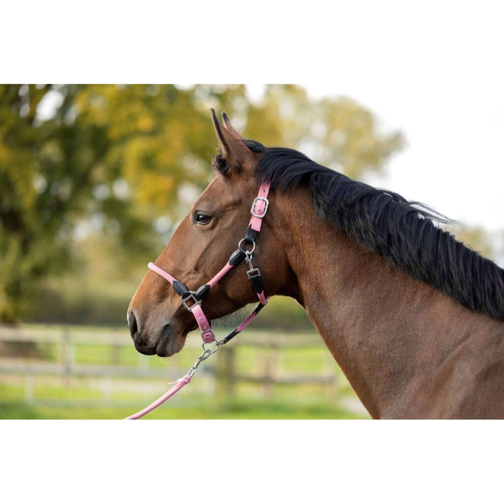 HKM Halster Carlotta Roze