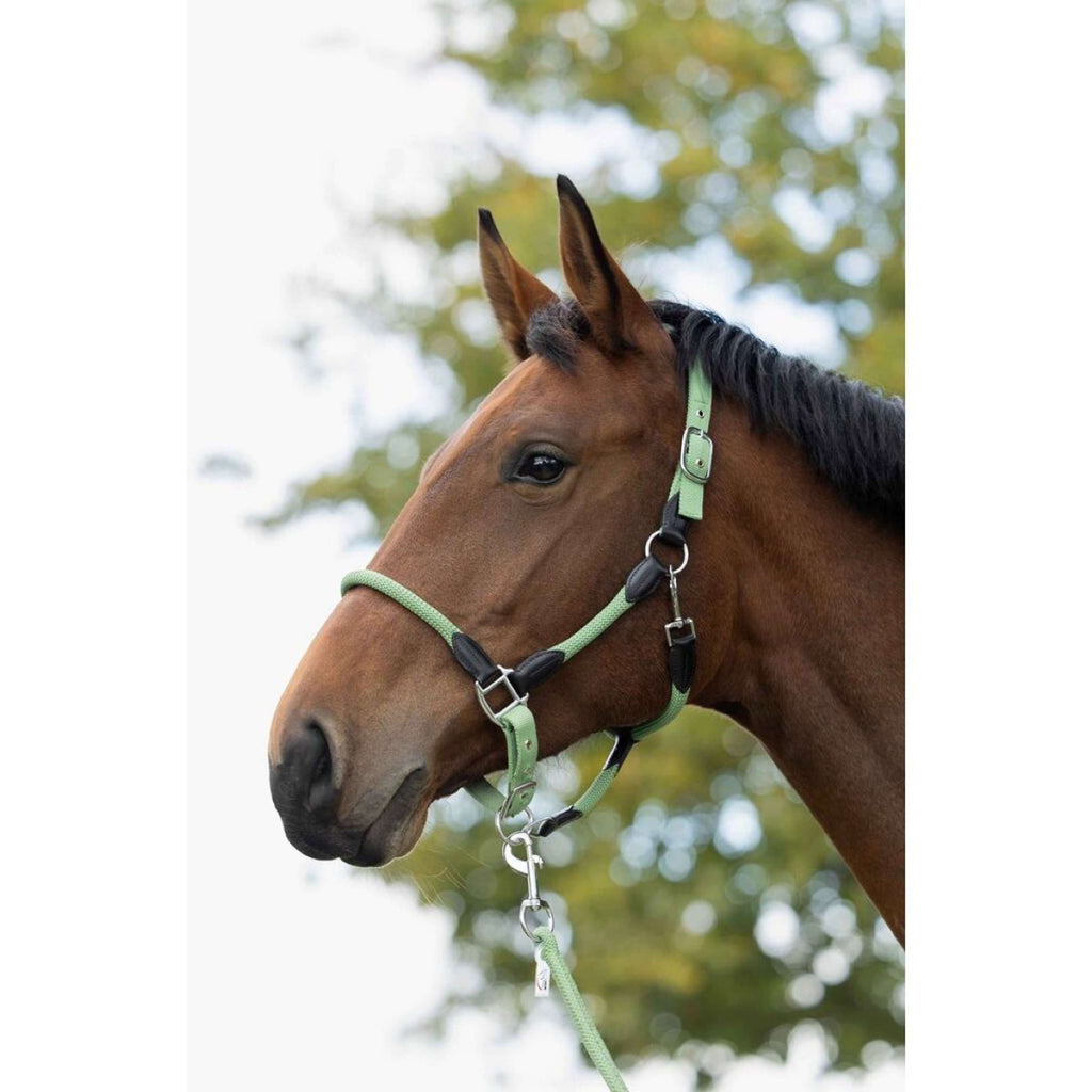 HKM Halster Carlotta Jade