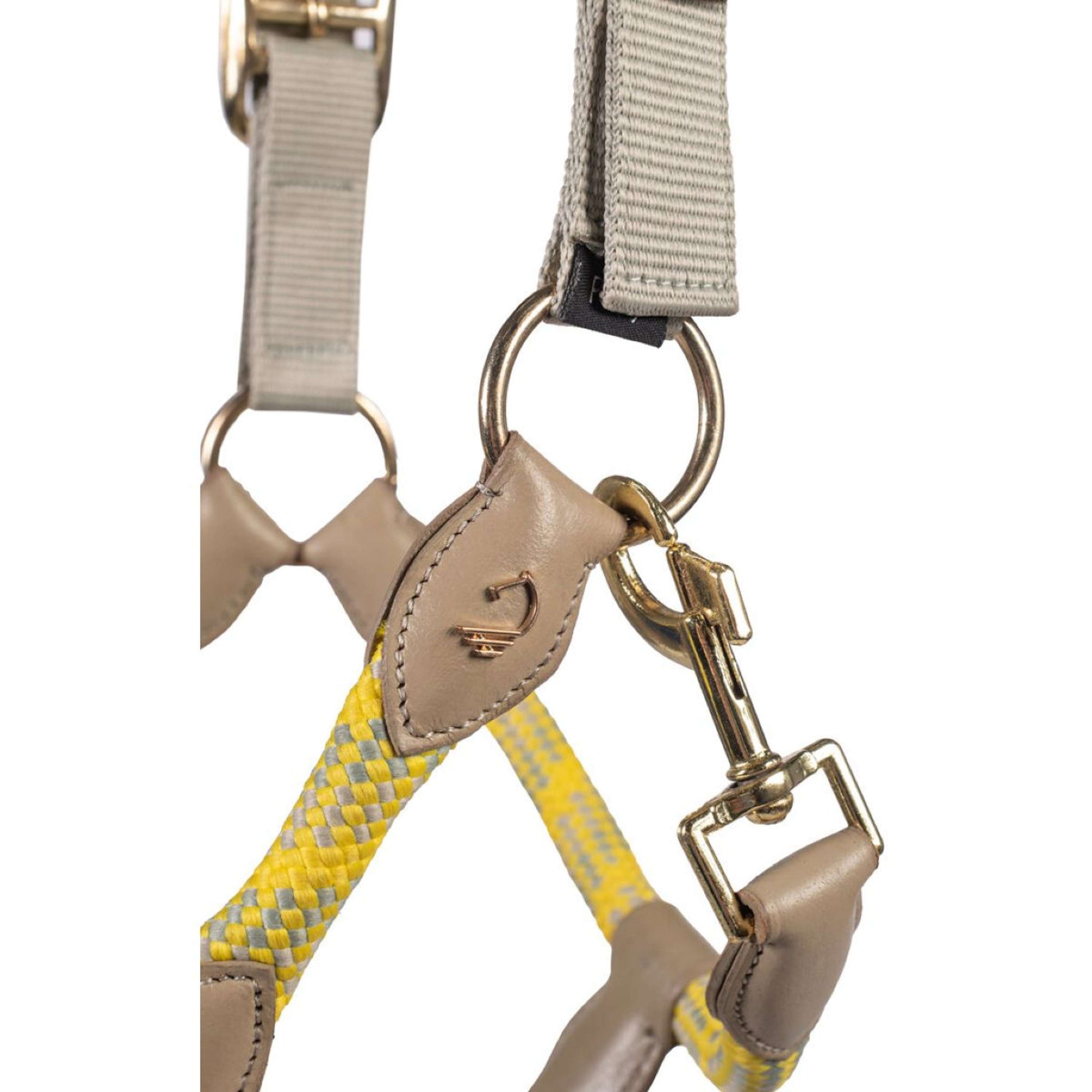 Lauria Garrelli Halster Limone Sportive Grijs/Beige Lauria Garrelli Halster Limone Sportive Grijs/Beige