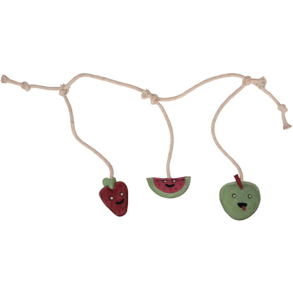 HKM Speelgoed Fruit