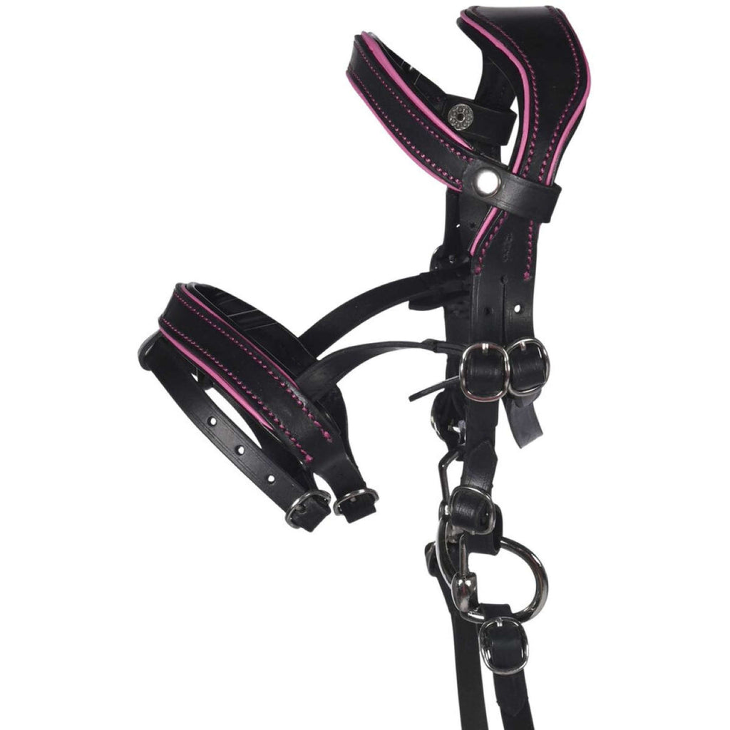HKM Hobby Horsing Hoofdstel Zwart/Roze